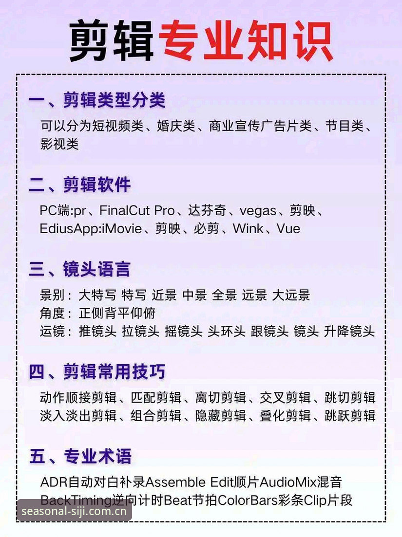 四季网站2025新版功能安装失败？从零开始的修复操作教程